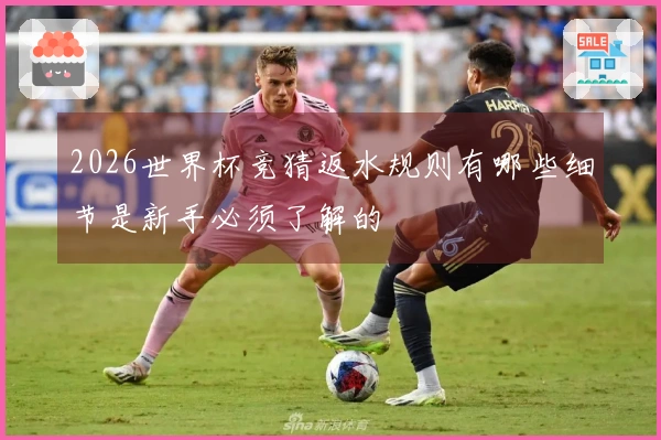 2026世界杯竞猜返水规则有哪些细节是新手必须了解的