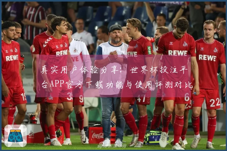 真实用户体验分享：世界杯投注平台APP官方下载功能与使用评测对比