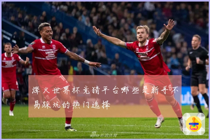 烽火世界杯竞猜平台哪些是新手不易踩坑的热门选择