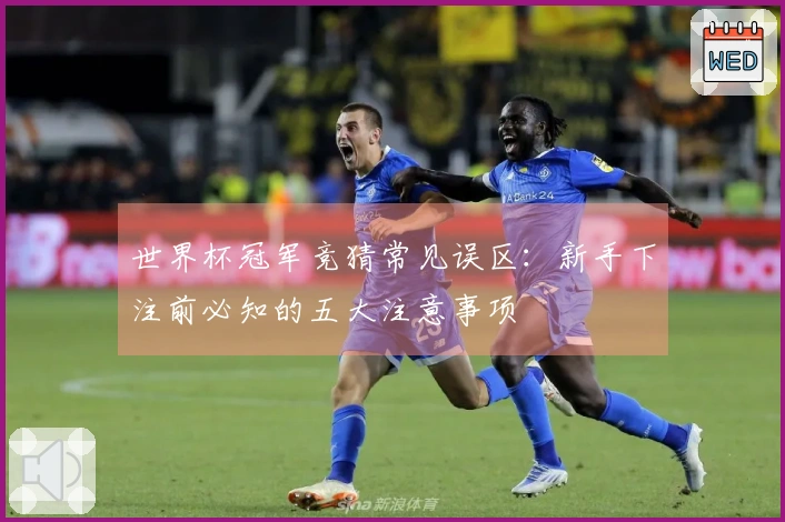 世界杯冠军竞猜常见误区：新手下注前必知的五大注意事项