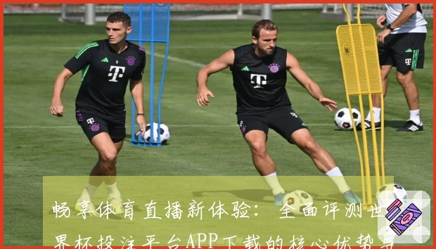 畅享体育直播新体验：全面评测世界杯投注平台APP下载的核心优势与功能介绍