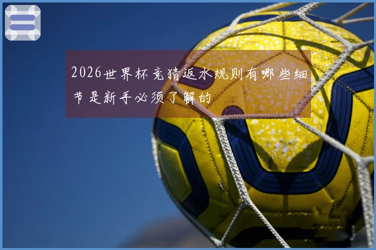 2026世界杯竞猜返水规则有哪些细节是新手必须了解的