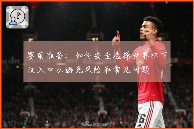赛前准备：如何安全选择世界杯下注入口以避免风险和常见问题