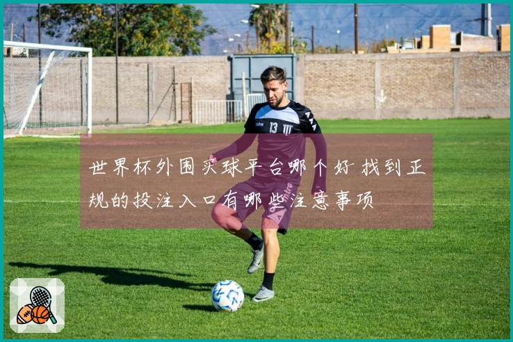世界杯外围买球平台哪个好 找到正规的投注入口有哪些注意事项