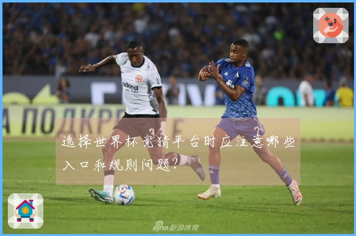 选择世界杯竞猜平台时应注意哪些入口和规则问题?