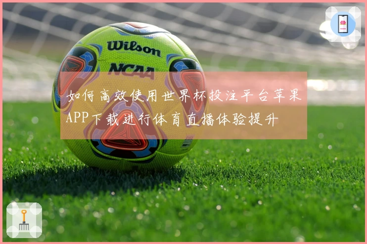如何高效使用世界杯投注平台苹果APP下载进行体育直播体验提升
