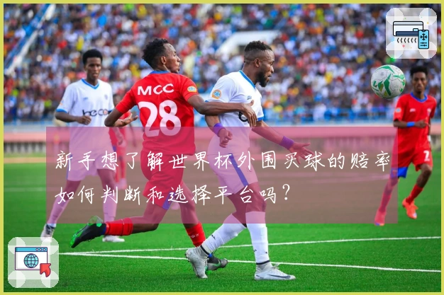 新手想了解世界杯外围买球的赔率如何判断和选择平台吗？