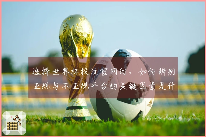 选择世界杯投注官网时，如何辨别正规与不正规平台的关键因素是什么？