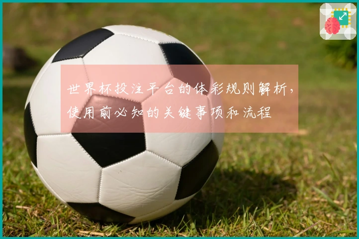 世界杯投注平台的体彩规则解析,使用前必知的关键事项和流程