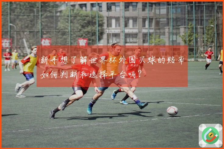 新手想了解世界杯外围买球的赔率如何判断和选择平台吗？
