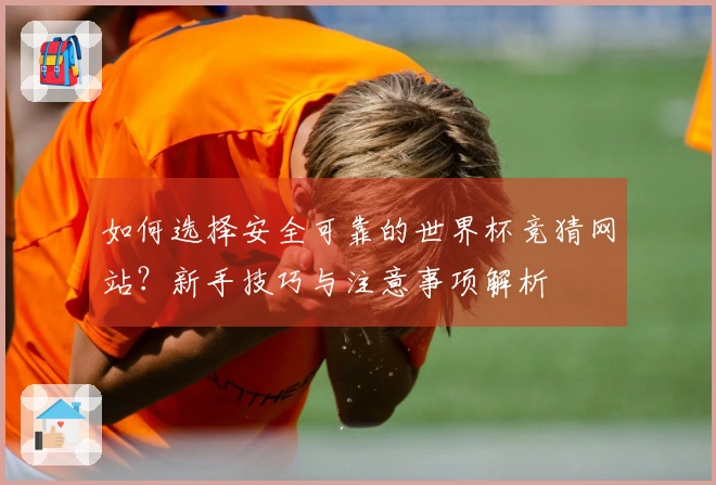 如何选择安全可靠的世界杯竞猜网站？新手技巧与注意事项解析