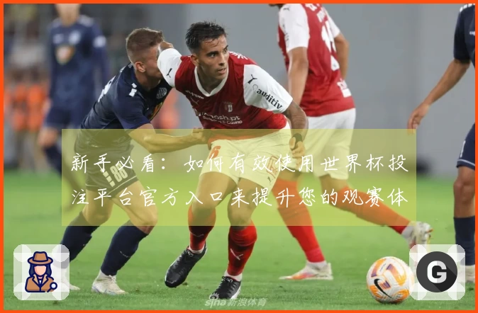 新手必看：如何有效使用世界杯投注平台官方入口来提升您的观赛体验