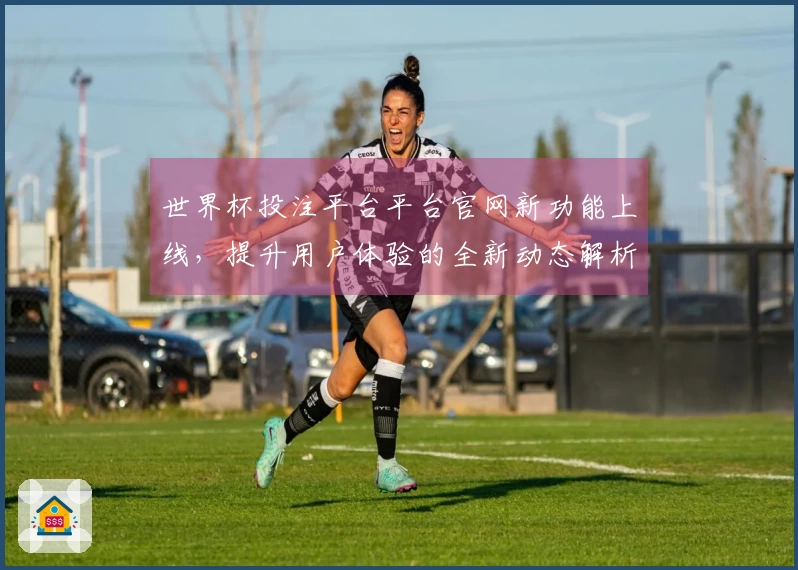 世界杯投注平台平台官网新功能上线,提升用户体验的全新动态解析