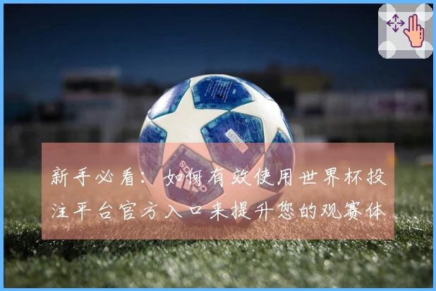 新手必看：如何有效使用世界杯投注平台官方入口来提升您的观赛体验