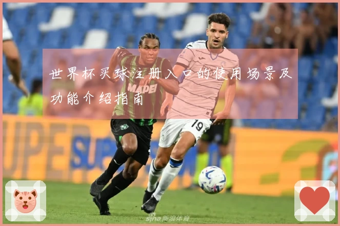 世界杯买球注册入口的使用场景及功能介绍指南