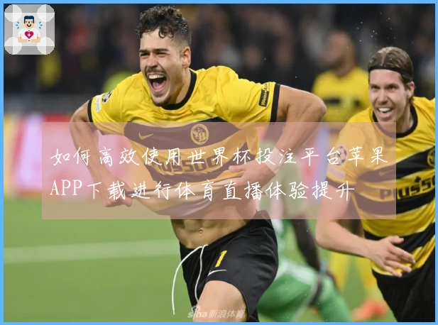 如何高效使用世界杯投注平台苹果APP下载进行体育直播体验提升