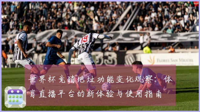 世界杯竞猜地址功能变化观察：体育直播平台的新体验与使用指南