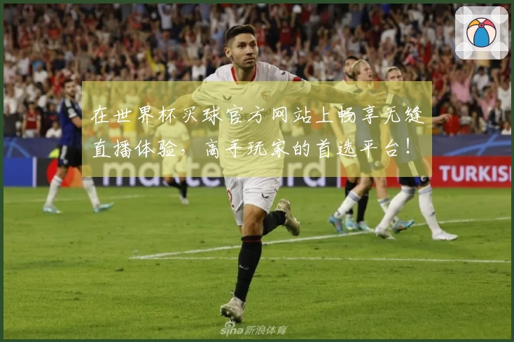 在世界杯买球官方网站上畅享无缝直播体验，高手玩家的首选平台！