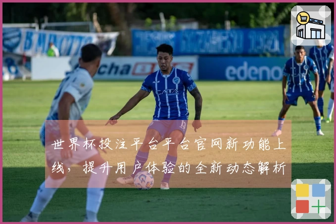 世界杯投注平台平台官网新功能上线，提升用户体验的全新动态解析