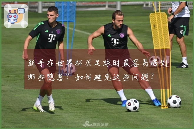 新手在世界杯买足球时最容易遇到哪些隐患？如何避免这些问题？