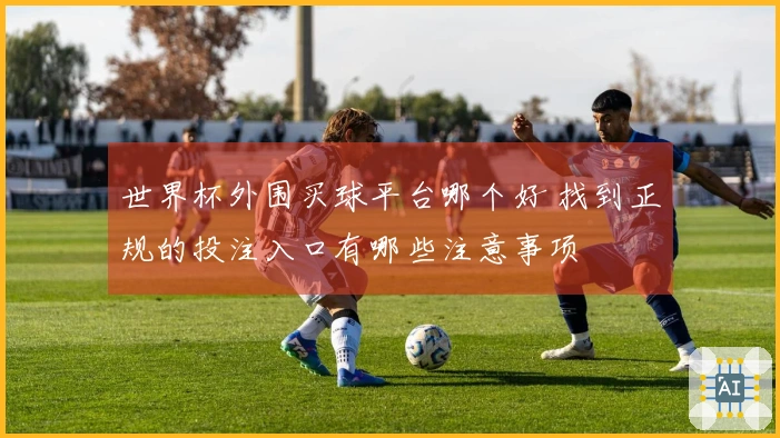 世界杯外围买球平台哪个好 找到正规的投注入口有哪些注意事项