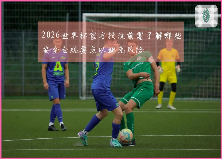 2026世界杯官方投注前需了解哪些安全合规要点以避免风险