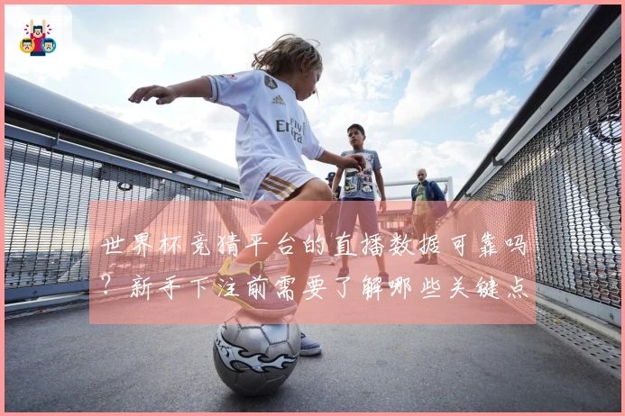 世界杯竞猜平台的直播数据可靠吗？新手下注前需要了解哪些关键点